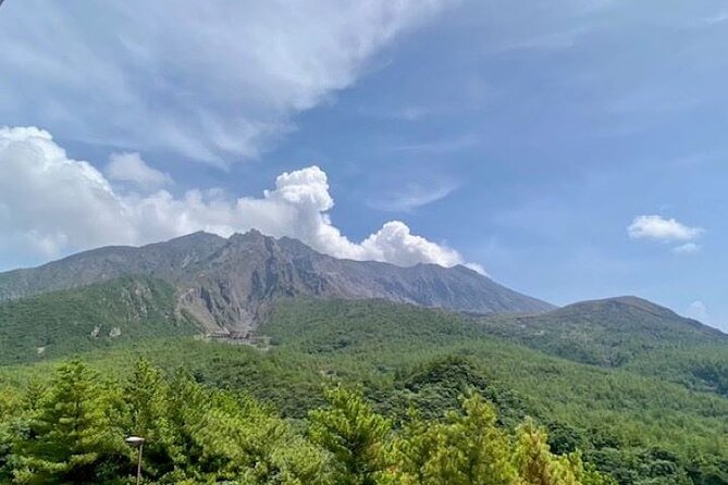 Exploring Sakurajimas History Half Day Walking Tour in Kagoshima - Good To Know