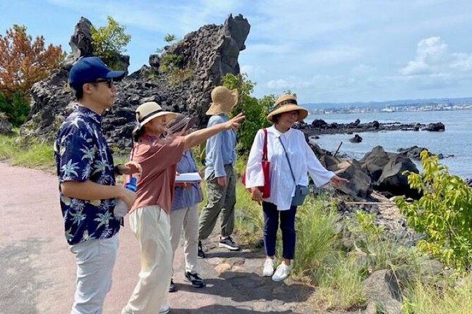Exploring Sakurajimas History Half Day Walking Tour in Kagoshima - Location and Meeting Point