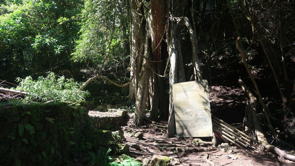 Exploring Terunyan Cemetery - Terunyans Unique Burial Practices