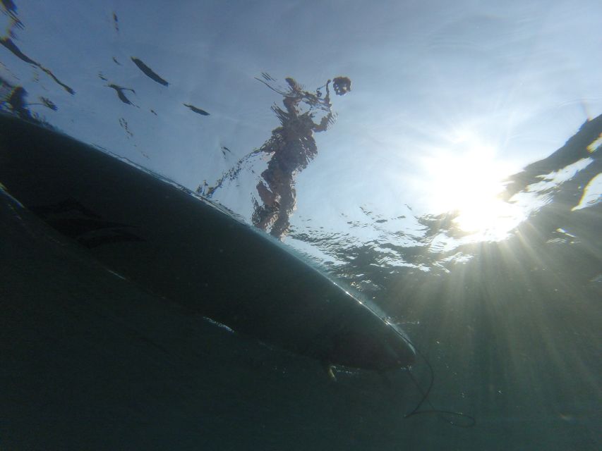 Exploring the Coast: SUP Adventure From Piran to Strunjan - Tour Highlights