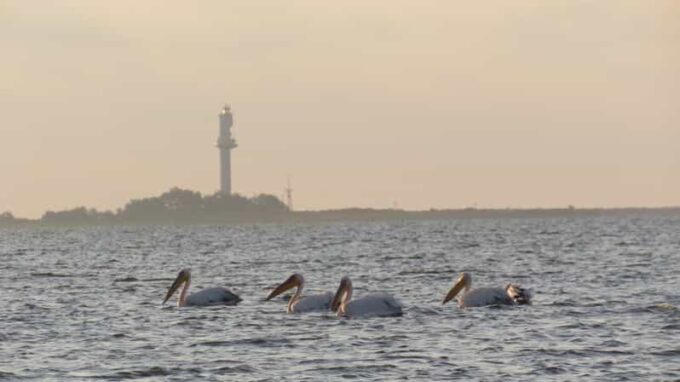 Exploring the Magic of the Danube Delta Through Photo Lenses - The Sum Up
