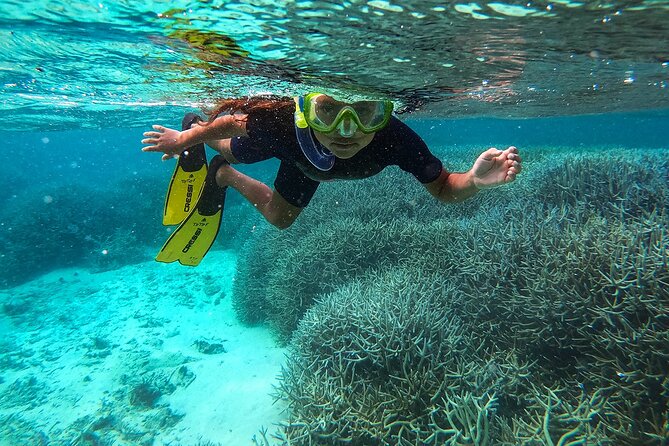 Exploring the Magnificent East of Mauritius: Full-Day Incl Blue Bay Marine Park - Key Points