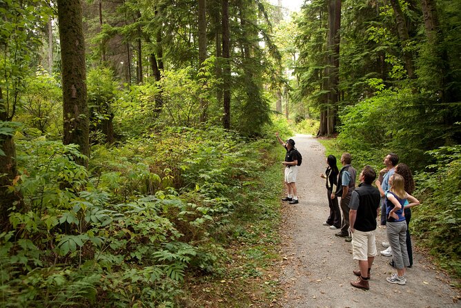 Exploring Vancouver: Includes Admission to Vancouver Lookout - Guest Reviews and Feedback