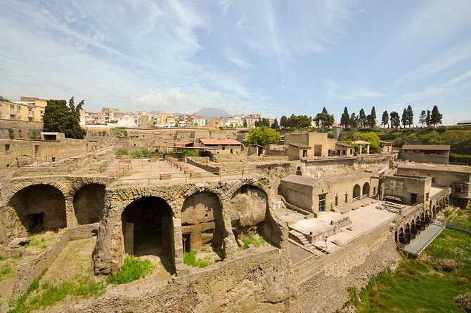 Explosive Naples Private Shore Excursion: Pompeii, Herculaneum and Vesuvius - Cancellation and Support