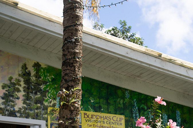 Express Kona Farms ATV Adventure Tour 30 Minute Excursion - What Past Participants Say