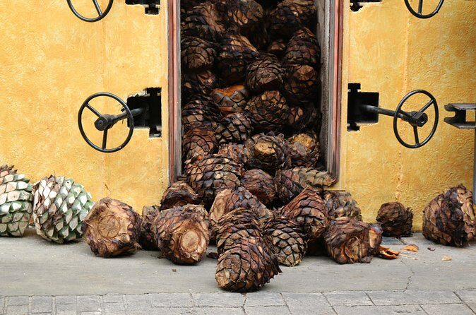 Express Sunset - Who Is This Tour Best For?