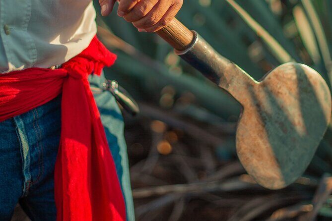 Express Sunset - FAQs