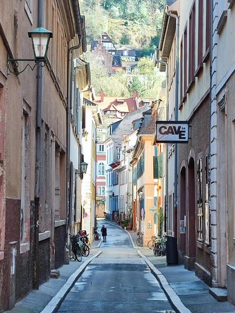 EXPRESS TOUR of Historic Heidelberg - The Highlights in 1 h - Key Points  