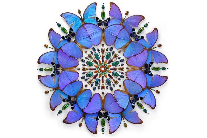 Exquisite Creatures Exhibit By Christopher Marley - Key Points