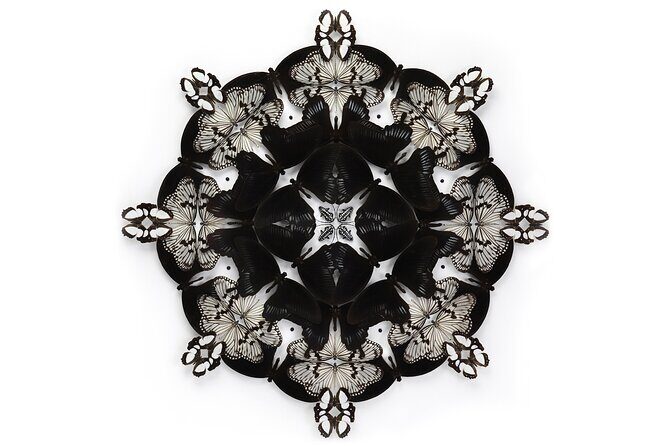 Exquisite Creatures Exhibit By Christopher Marley - Who Will Appreciate This Experience?