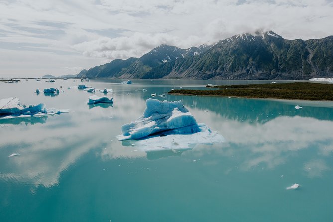 Extended Bear Glacier Scenic Flight - Wildlife Sightings