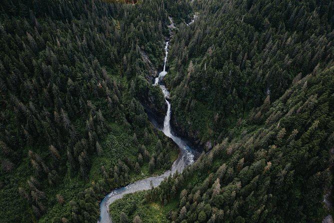 Extended Bear Glacier Scenic Flight - Safety and Accessibility Information