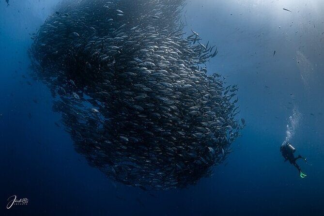 Extreme Baja Off-Road to Cabo Pulmo Diving  Pickup Anywhere - Reaching Cabo Pulmo: A Marine Treasure