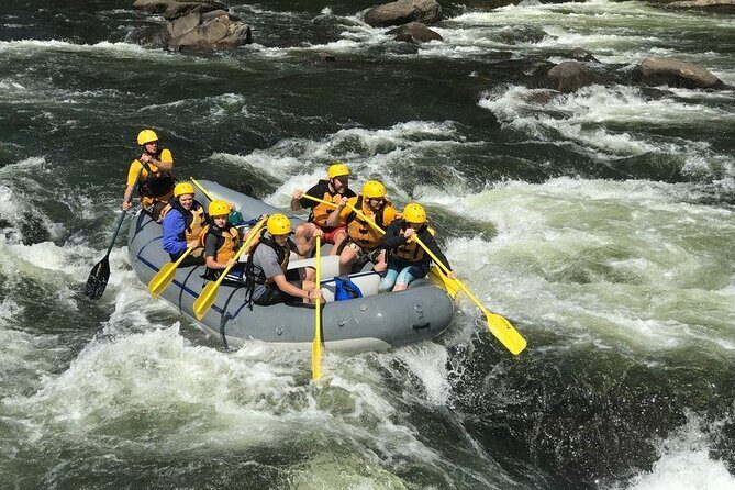 Extreme Class V Whitewater Rafting on the Gauley River WV (Fall Only) - What the Reviews Say