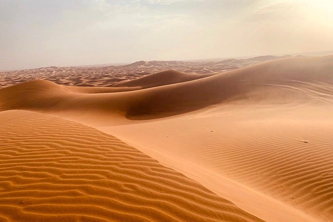 Extreme Desert Safari Evening With Dinner - Key Points