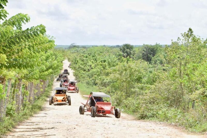 Extreme Dune Buggy Adventure in Macao Beach & Cenote - Logistics and Practical Details
