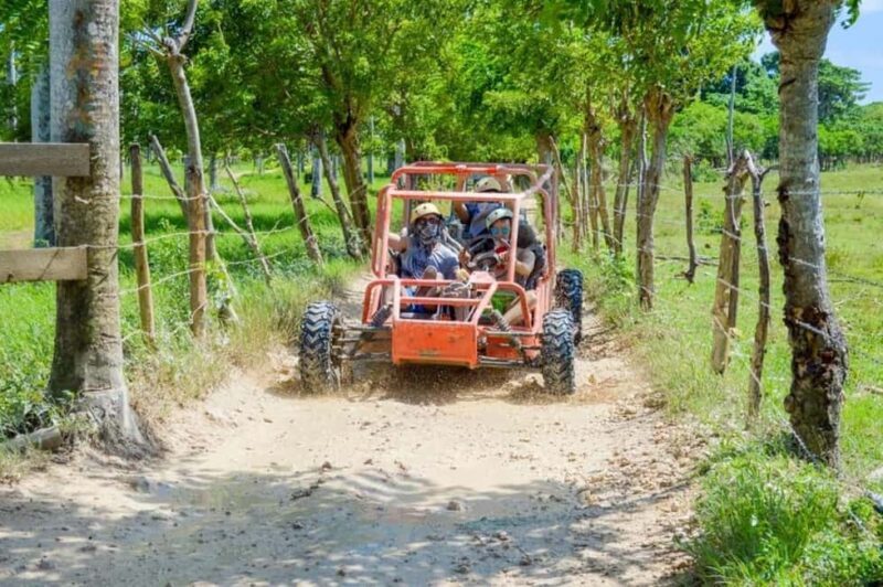 Extreme Dune Buggy Adventure in Macao Beach & Cenote - Who Is This Tour Best For?