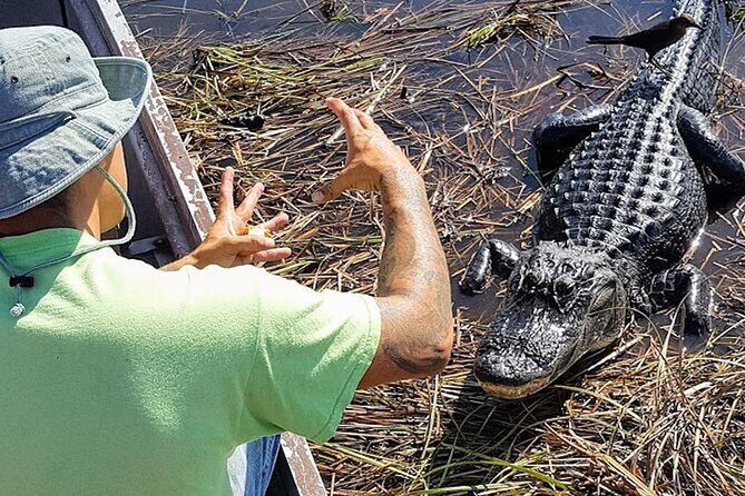 Extreme Everglades: Crocodiles and Adventure from Miami - Who Is This Tour Best For?