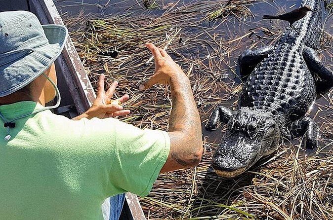 Extreme Everglades: Crocodiles and Adventure from Miami - FAQ