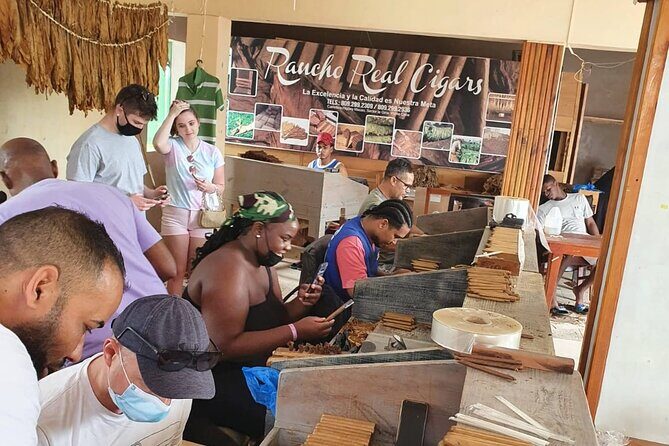 Extreme Fun in Safari Punta Cana Medio Dia - An In-Depth Look at the Itinerary