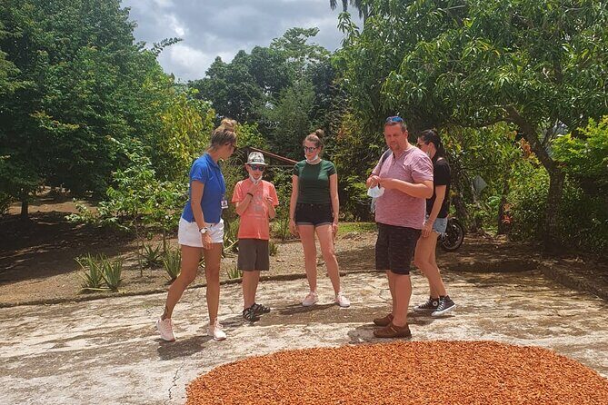 Extreme Fun in Safari Punta Cana Medio Dia - Who Will Love This Tour?