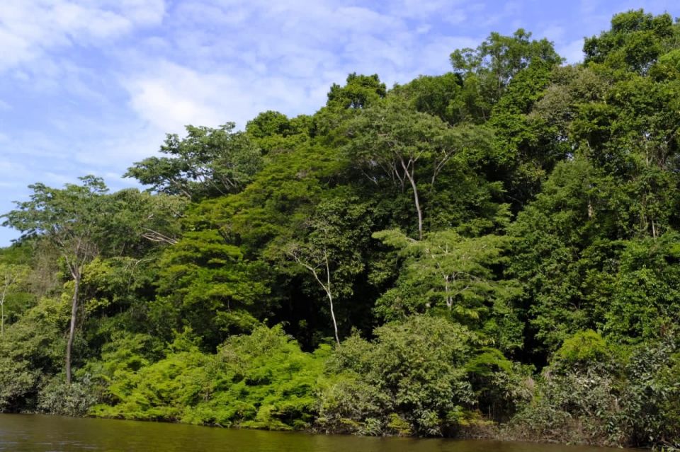 Extreme Survival in the Amazon for 6 Days and 5 Nights - Uncharted Amazon Territories