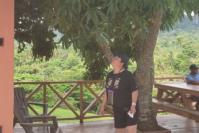 Extreme Zip line Aventure in Punta Cana - Analyzing the Value