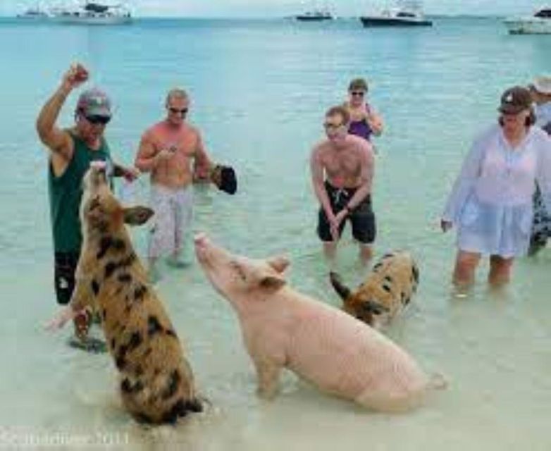 Exuma Cays-Private Adventure Tour - Included Amenities