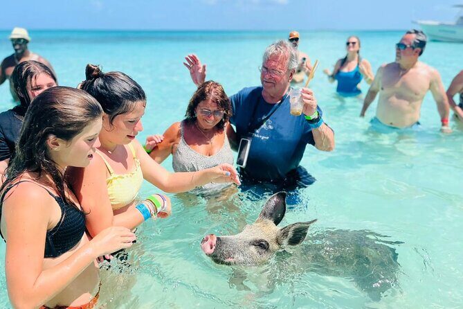 Exuma Day Away - Original Swimming Pigs Excursion - Introduction