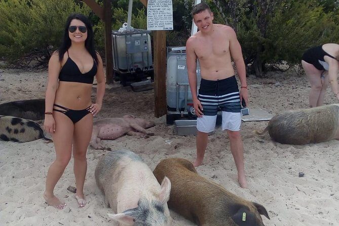 Exuma Day Away - Original Swimming Pigs Excursion - What’s Included and What’s Not