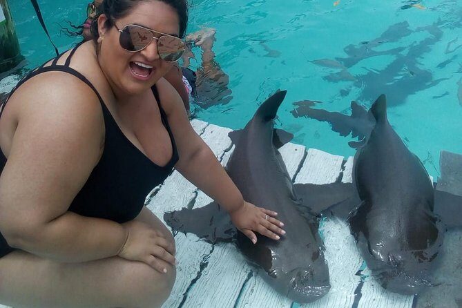 Exuma Day Away - Original Swimming Pigs Excursion - Authentic Experiences and Reviews