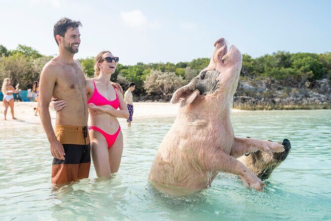 Exuma Elite Escape: Luxury Fly-In Pig Beach Adventure - 7 Stops - The Sum Up