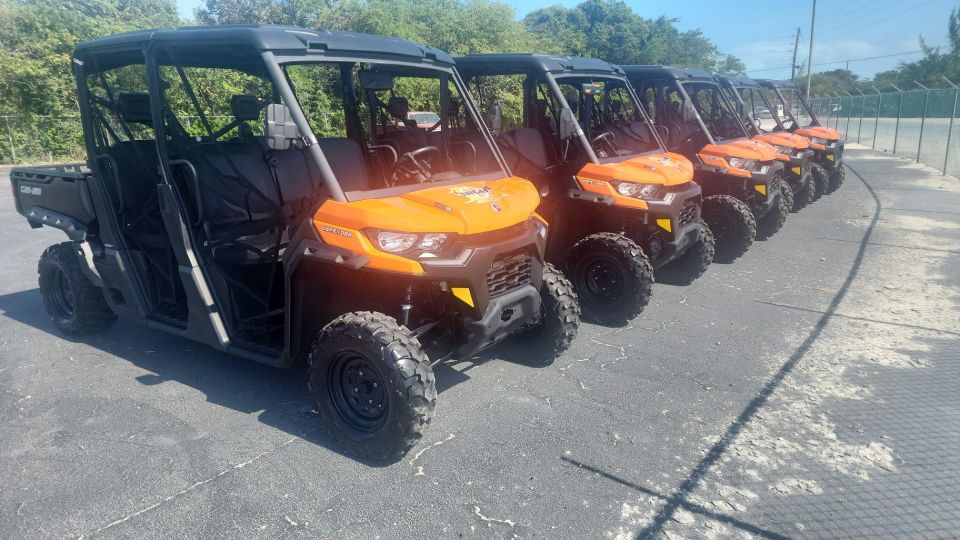 Exuma,Bahamas: 6-Seater Buggy Rental With Bluetooth Speaker - Driver Requirements and Restrictions