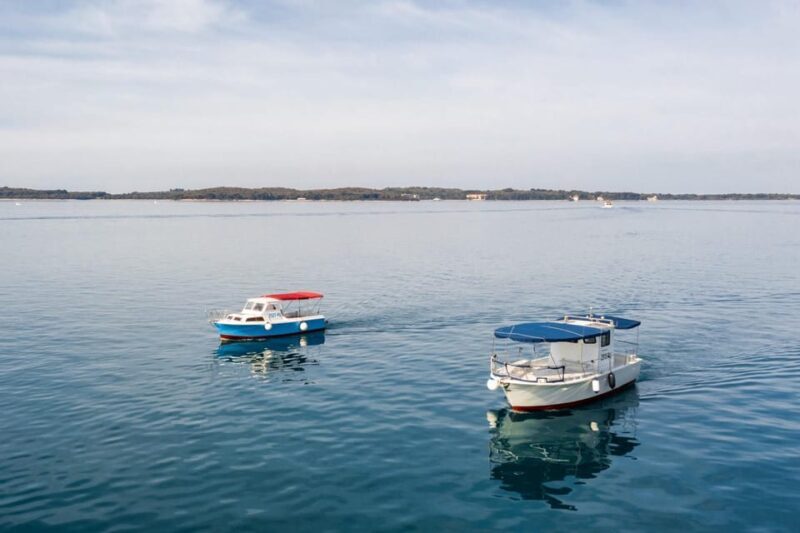 FAANA: Brijuni boat trip+stop & Swim at St. Jerolim Island - What Is the FAANA Brijuni Boat Trip?