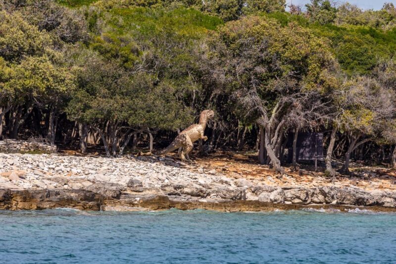 FAANA: Brijuni boat trip+stop & Swim at St. Jerolim Island - Final Thoughts: Is It Worth It?