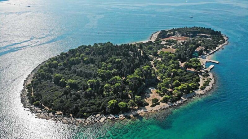 Faana: Brijuni Islands Lunch tour with Peacock Island Visit - Who is This Tour Best For?