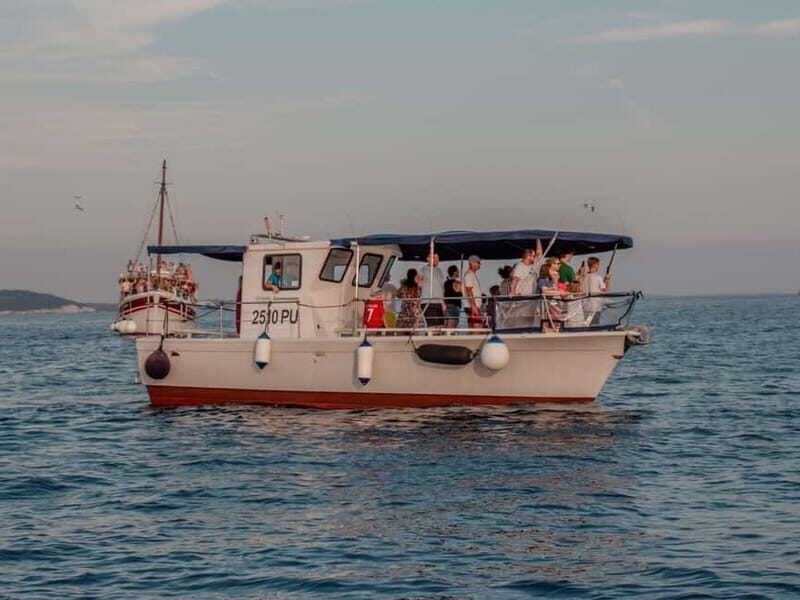 Faana: Dolphin & Sunset - Faana: Dolphin & Sunset – A Closer Look at an Istrian Coastal Treasure