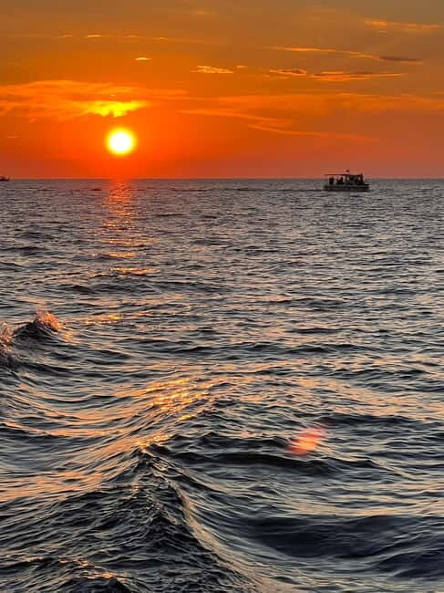 Faana: Dolphin & Sunset - Key Points