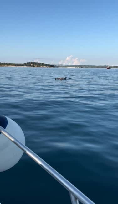 Faana: Dolphin & Sunset - Practical Tips for Your Dolphin & Sunset Trip