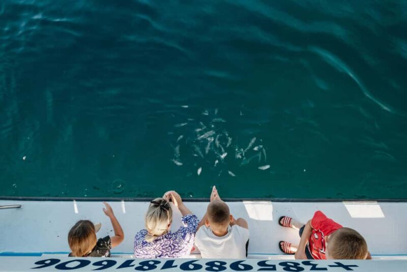 Faana: Glass Boat Tour of Brijuni National Park - Introduction