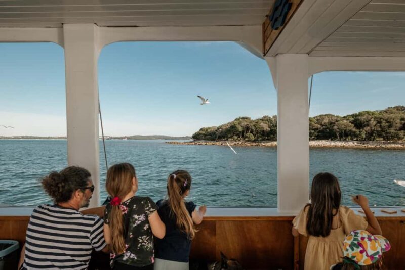 Faana: Glass Boat Tour of Brijuni National Park - Key Points