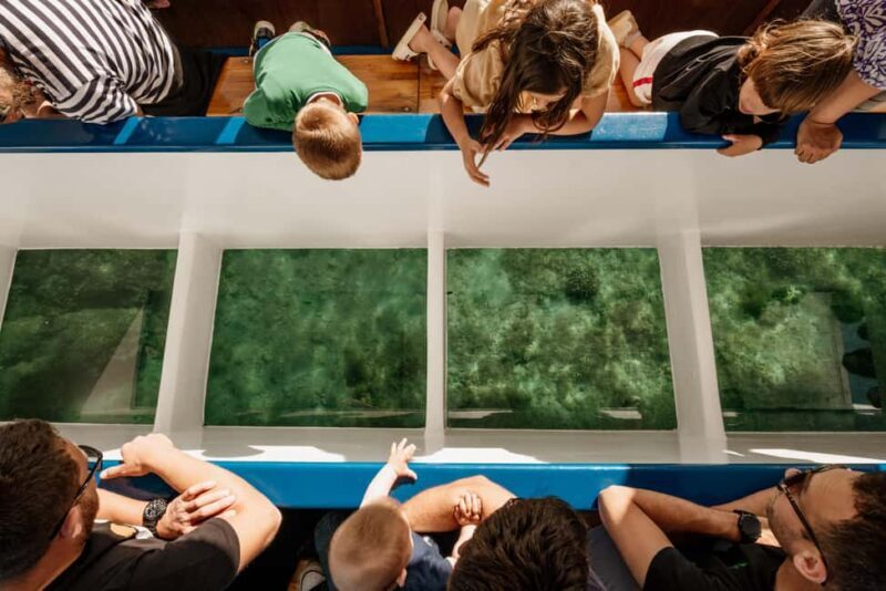 Faana: Glass Boat Tour of Brijuni National Park - The Practical Side