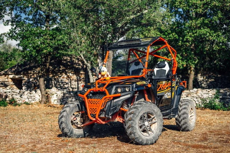 Faana: Guided Buggy Tour in the Heart of Istria - Who Should Consider This Tour?