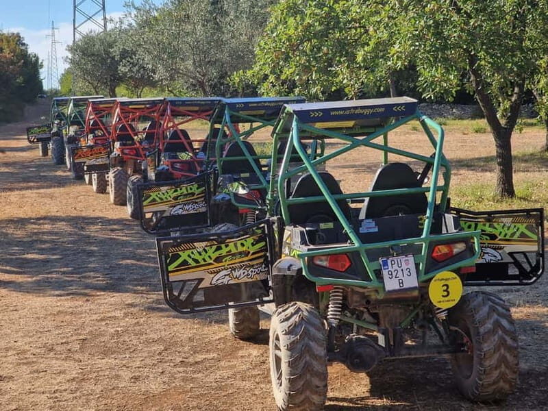 Faana: Guided Buggy Tour in the Heart of Istria - Final Thoughts
