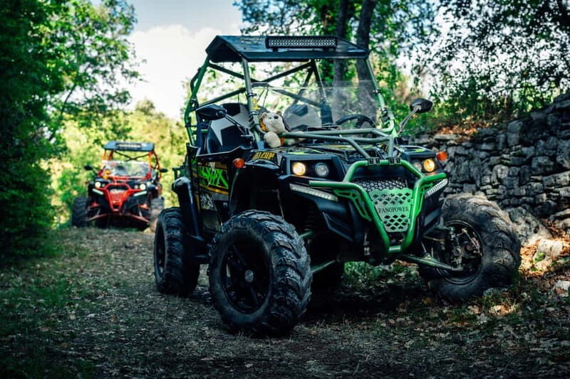 Faana: Guided Buggy Tour in the Heart of Istria - An Authentic Adventure in Istria