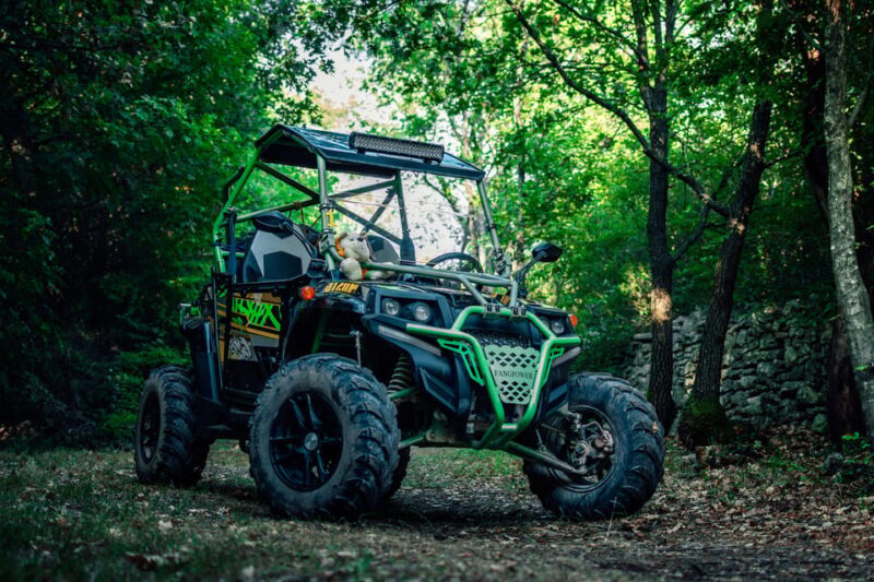 Faana: Guided Buggy Tour in the Heart of Istria - Value in Perspective