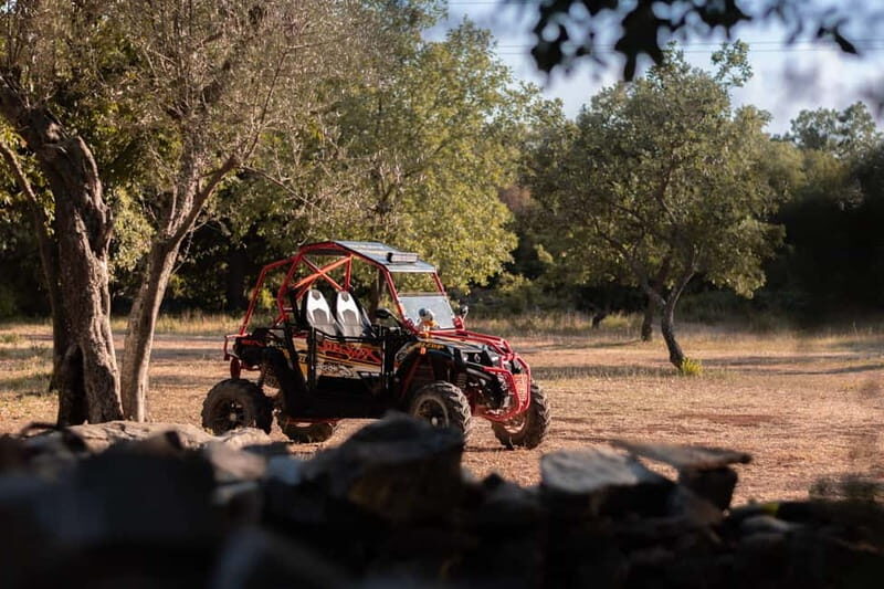 Faana: Guided Buggy Tour in the Heart of Istria - Practical Tips