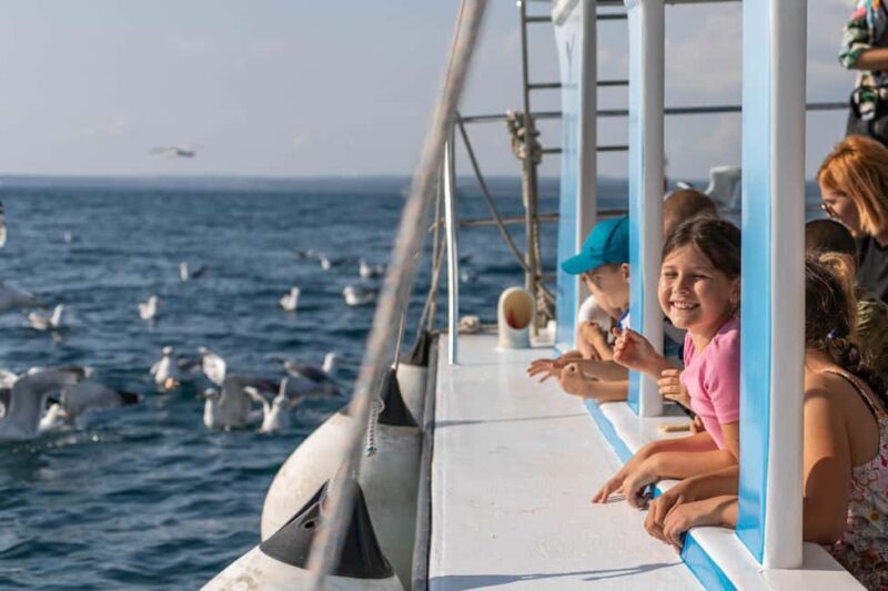 FAANA: PANORAMA NP BRIJUNI AND ISLAND SWIMMING STOP - Key Points