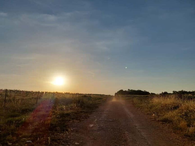 Faana: Sunset Buggy Tour with a possibility of swimming - Final Thoughts: Who Will Love This Experience?