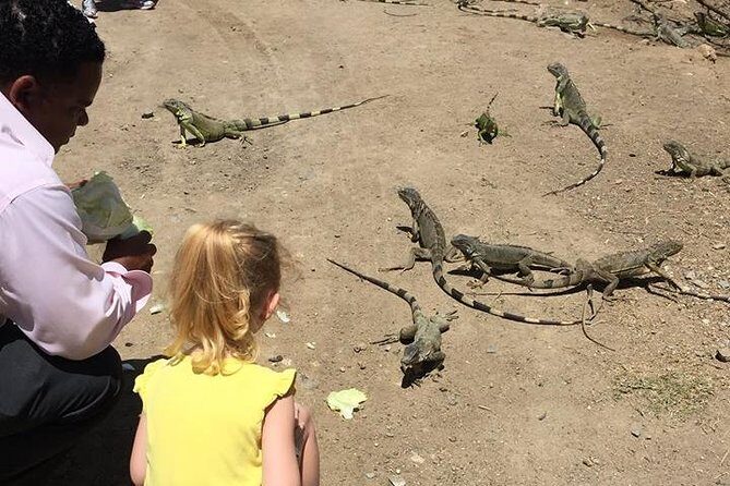 Fabulous Dutch and French Tour - The Sum Up